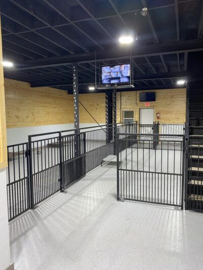 Unleashed Doggy Daycare - Turner, ME