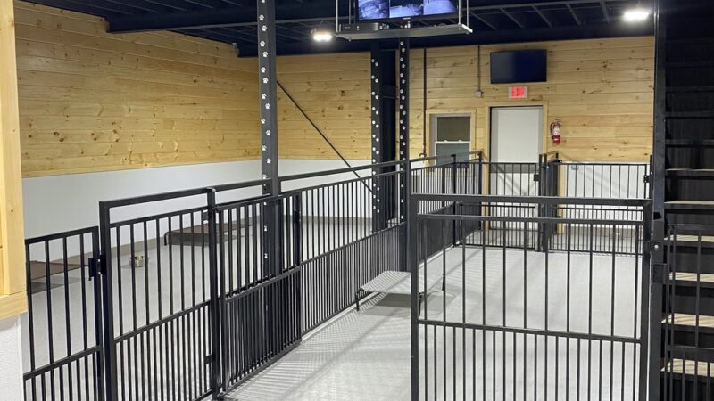 Unleashed Doggy Daycare - Turner, ME