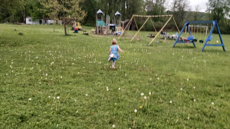 Turtlepoint Park - Turtlepoint, PA