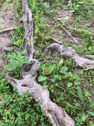 Tuscumbia Ball Park - Tuscumbia, MO