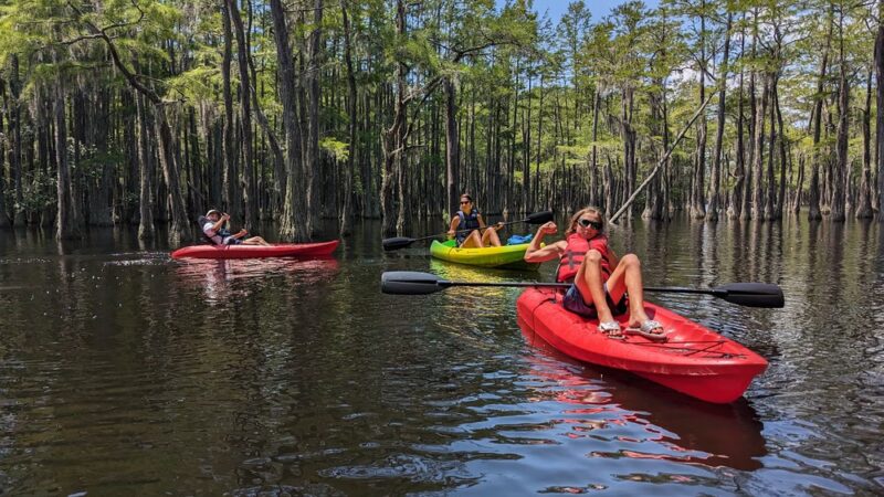 George L. Smith State Park - Twin City, GA