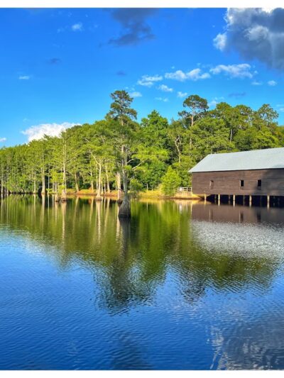 George L. Smith State Park - Twin City, GA
