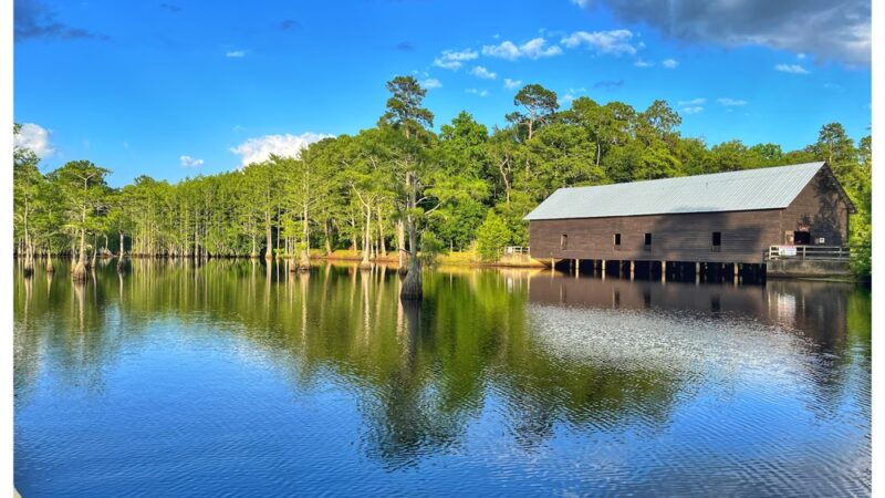 George L. Smith State Park - Twin City, GA