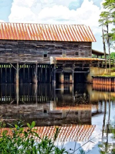 George L. Smith State Park - Twin City, GA