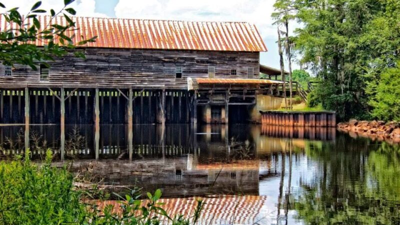 George L. Smith State Park - Twin City, GA