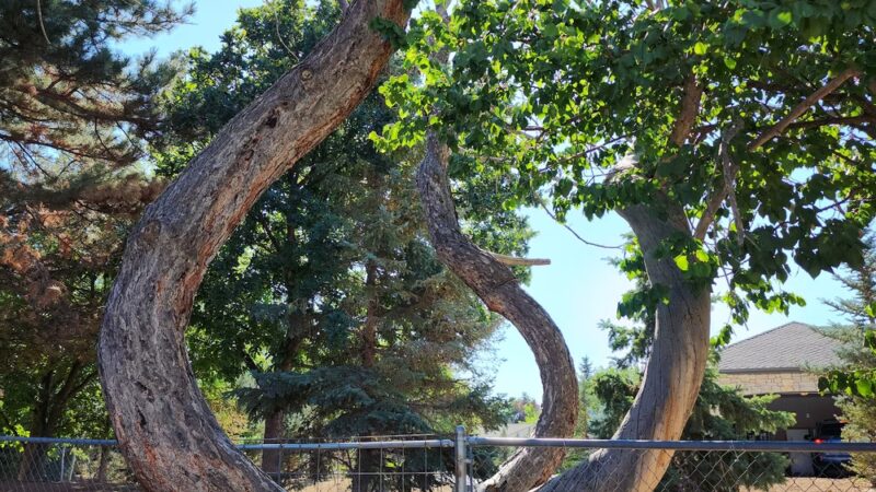 Canyon Rim Trail - Twin Falls, ID