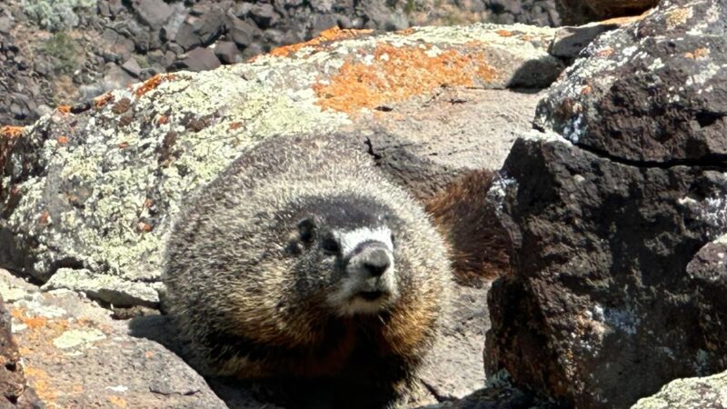 Trail to Shoshone Falls - Twin Falls, ID