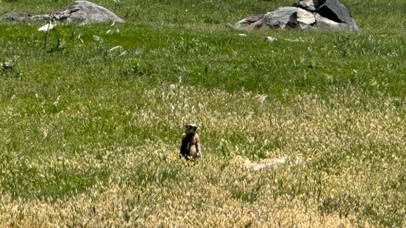 Trail to Shoshone Falls - Twin Falls, ID