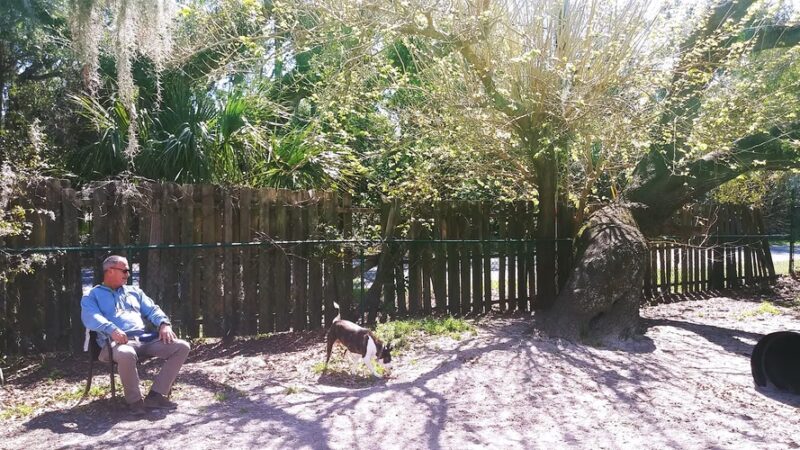 Tybee Island Dog Park I - Tybee Island, GA