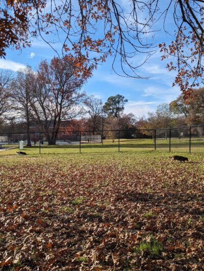 Pollard Park Dog Park - Tyler, TX