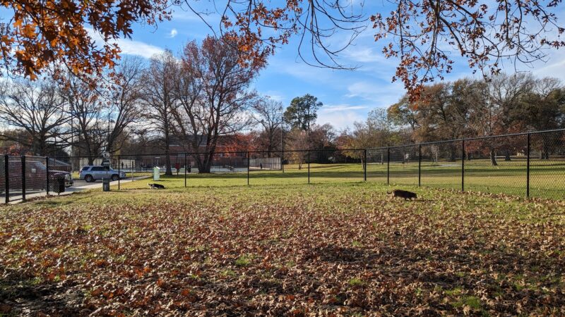 Pollard Park Dog Park - Tyler, TX