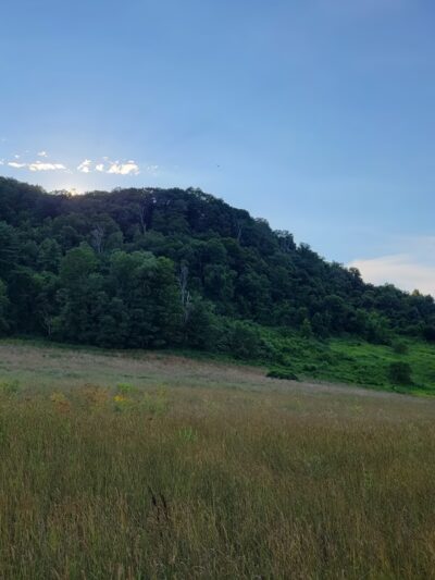 Tyringham Cobble Park - Tyringham, MA