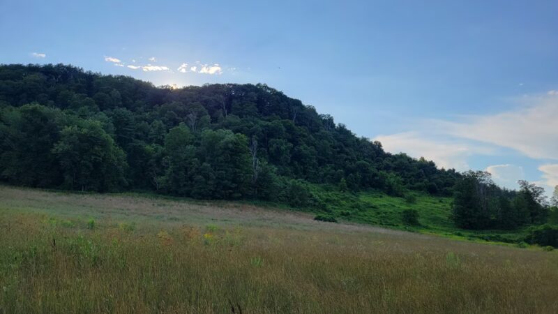 Tyringham Cobble Park - Tyringham, MA