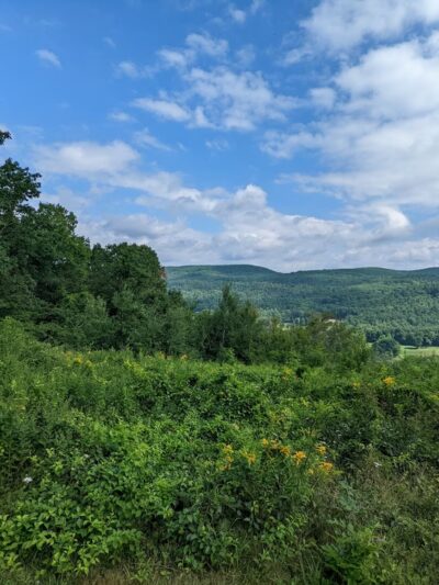 Tyringham Cobble Park - Tyringham, MA