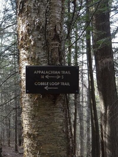 Tyringham Cobble Park - Tyringham, MA