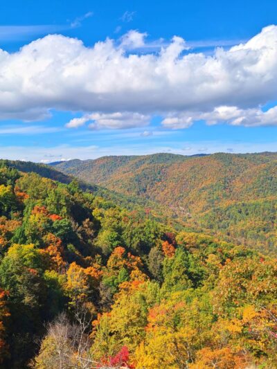 Crabtree Falls - Tyro, VA