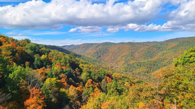 Crabtree Falls - Tyro, VA