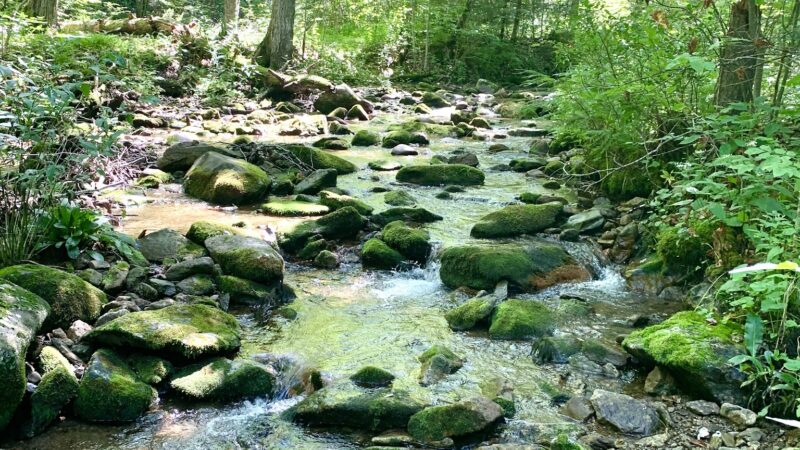 Crabtree Falls - Tyro, VA