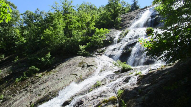 Crabtree Falls - Tyro, VA