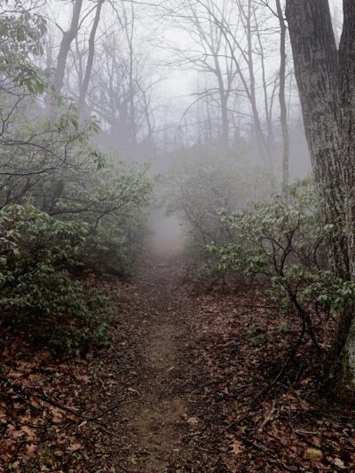 Three Ridges Wilderness - Tyro, VA