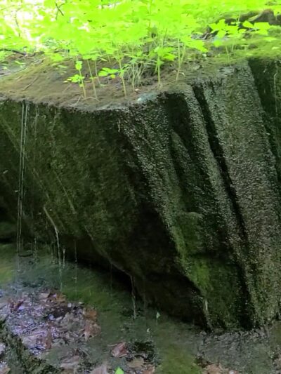 Three Ridges Wilderness - Tyro, VA