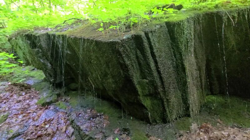 Three Ridges Wilderness - Tyro, VA