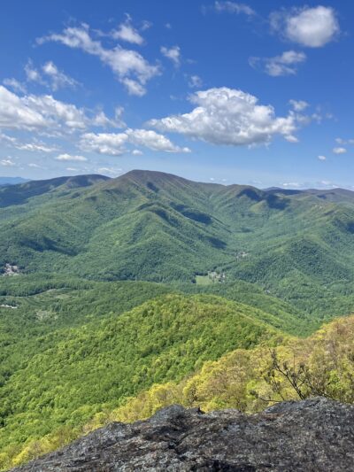 Three Ridges Wilderness - Tyro, VA