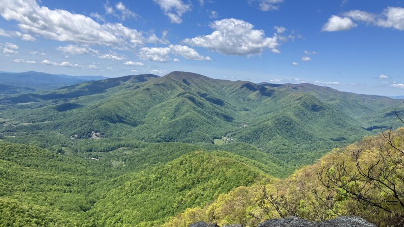 Three Ridges Wilderness - Tyro, VA