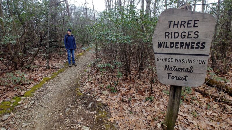 Three Ridges Wilderness - Tyro, VA