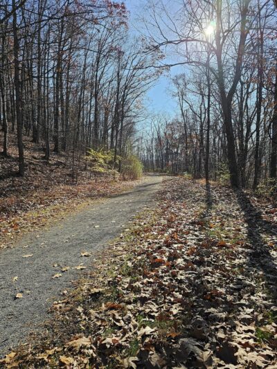 Bell Gap Trailhead Parking - Tyrone, PA