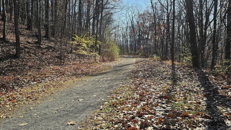 Bell Gap Trailhead Parking - Tyrone, PA