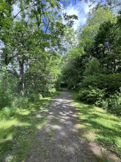 Bell Gap Trailhead Parking - Tyrone, PA