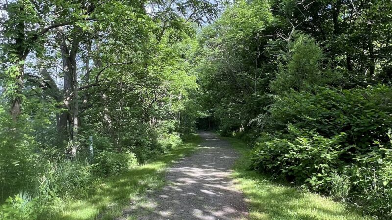 Bell Gap Trailhead Parking - Tyrone, PA