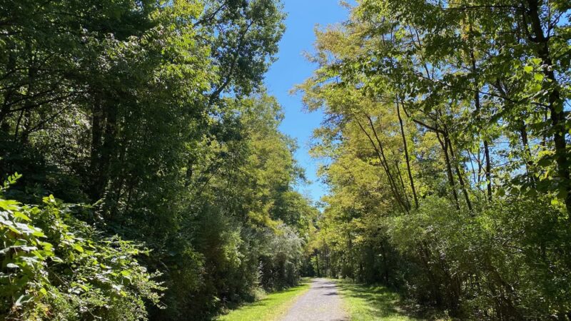 Bell's Gap Trail - Tyrone, PA