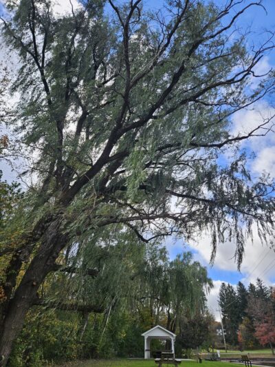 Reservoir Park Public Pool - Tyrone, PA