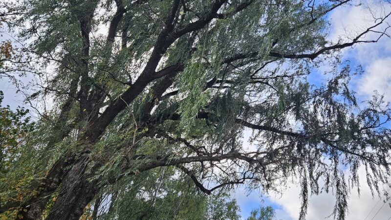 Reservoir Park Public Pool - Tyrone, PA