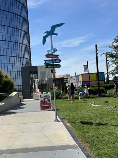The Perch Sky Dog Park - Tysons, VA