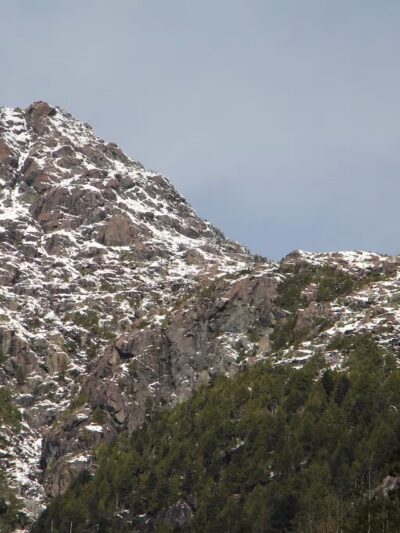 The Perch Sky Dog Park - Tysons, VA