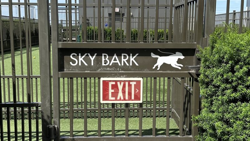 The Perch Sky Dog Park - Tysons, VA