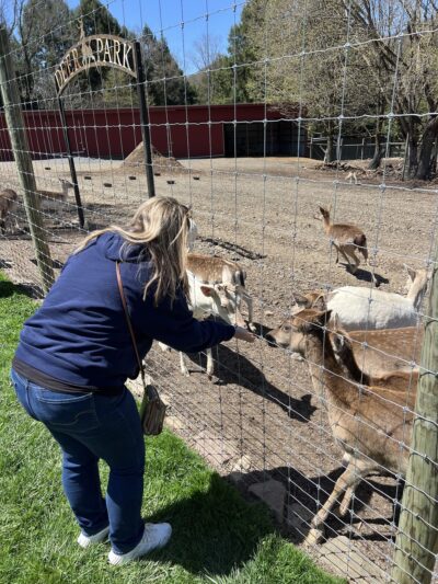Black Forest Trading Post & The Deer Park - Ulysses, PA