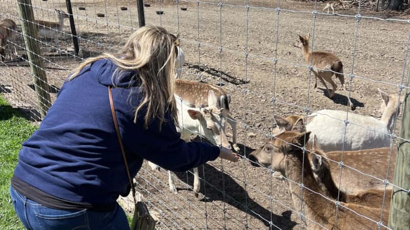 Black Forest Trading Post & The Deer Park - Ulysses, PA