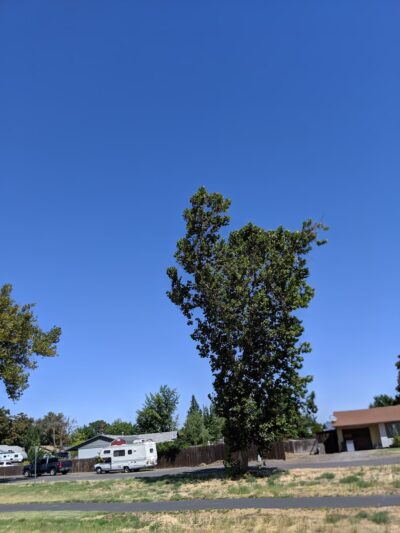 Hash Park - Umatilla, OR