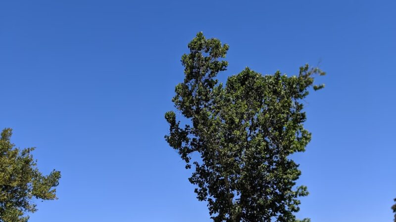 Hash Park - Umatilla, OR