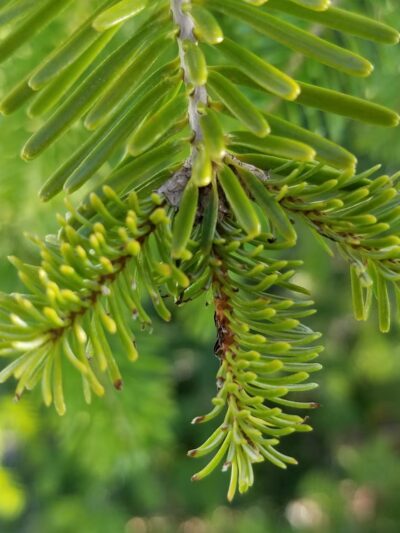 Village Square Park - Umatilla, OR