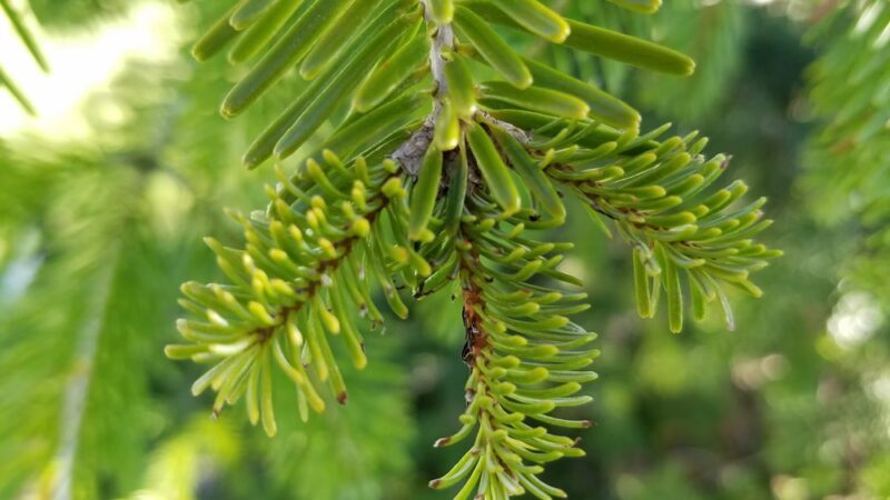 Village Square Park - Umatilla, OR