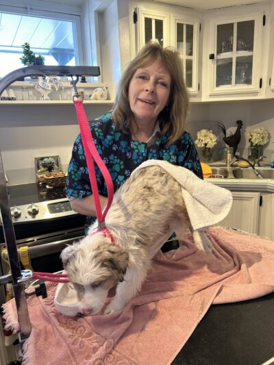 Hannalore Kennels - Unadilla, NY