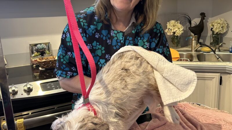 Hannalore Kennels - Unadilla, NY