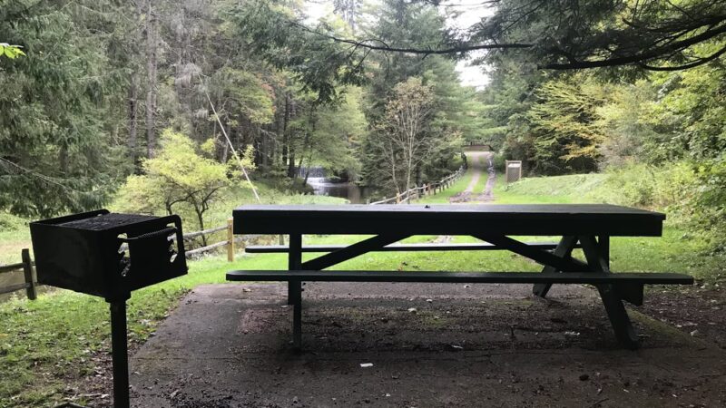 Martin Brook Park - Unadilla, NY