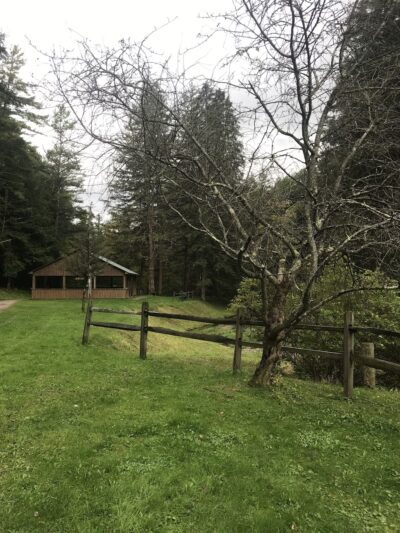 Martin Brook Park - Unadilla, NY