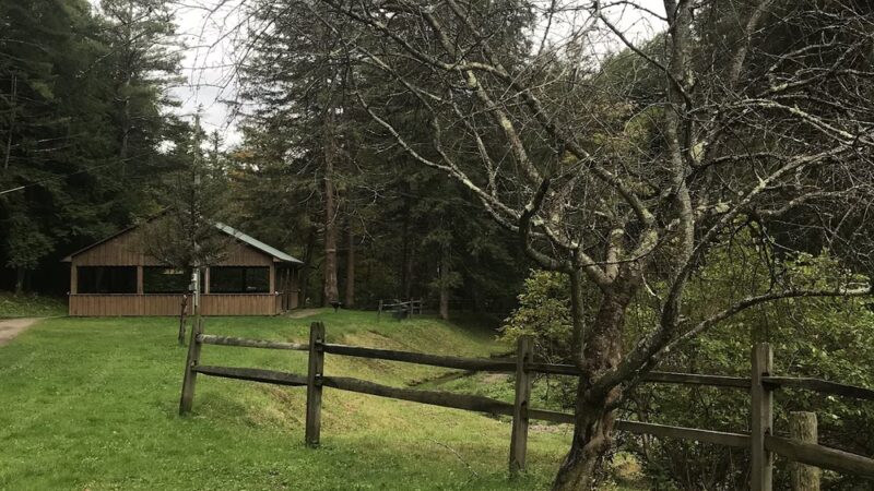 Martin Brook Park - Unadilla, NY